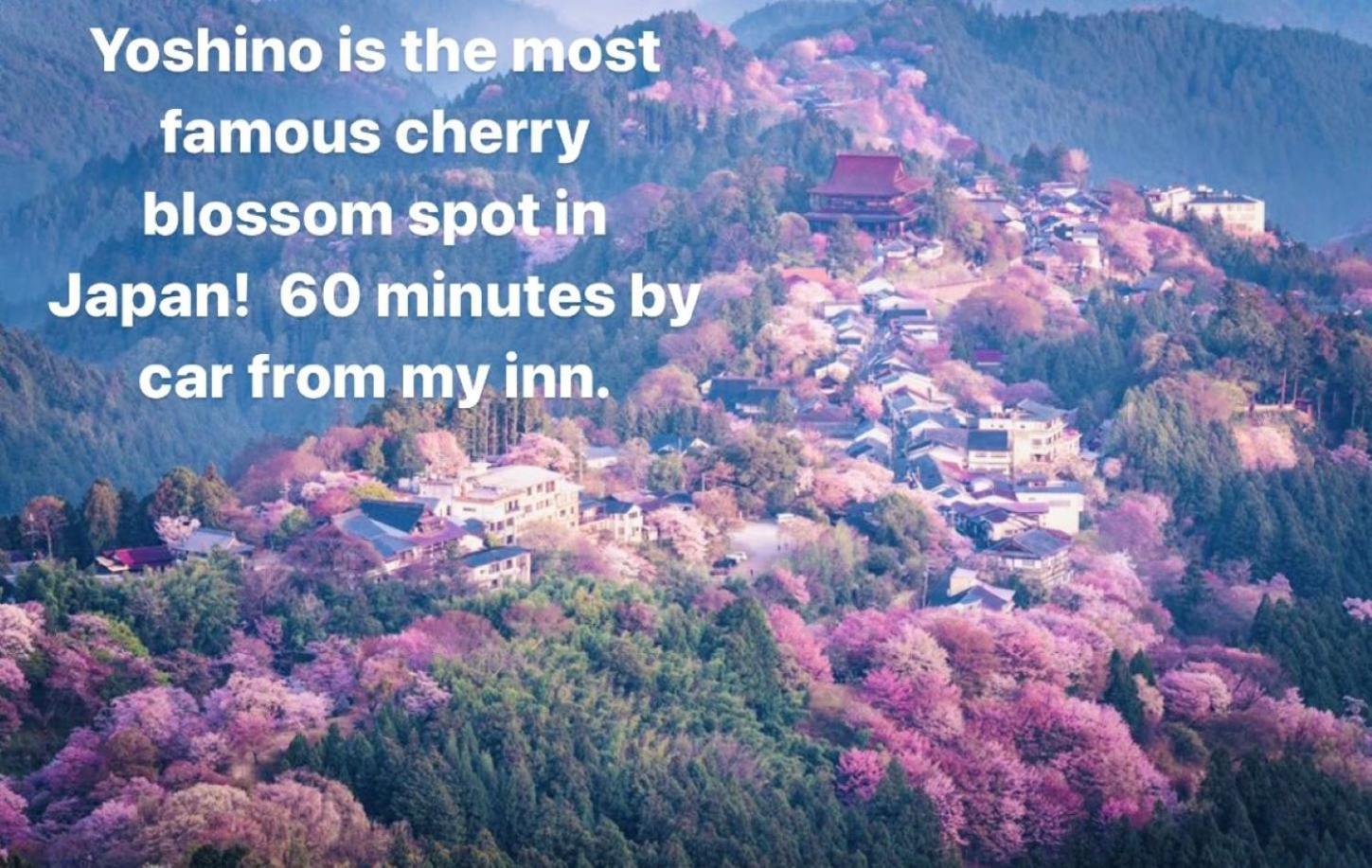 Inn Unkai No Sato No Yado Nosegawa Экстерьер фото